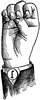 Normal Aperture Front Primary High Vowel