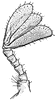 Antenna