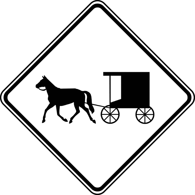 Horse-Drawn Vehicles, Black and White