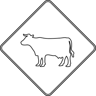 Cattle Crossing, Outline