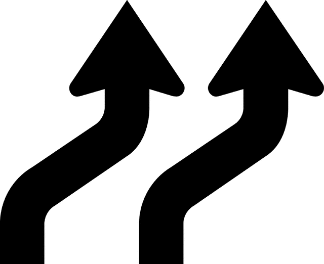 Double Reverse Curve, Silhouette