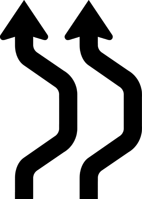 Double Reverse Curve, Silhouette