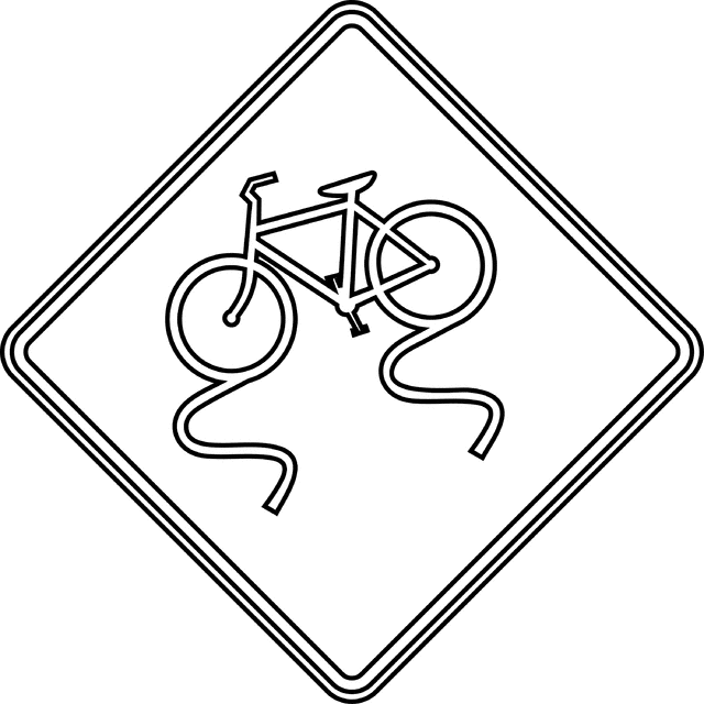 Bicycle Surface Condition Warning, Outline