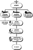 Organization of Air Force (1944)