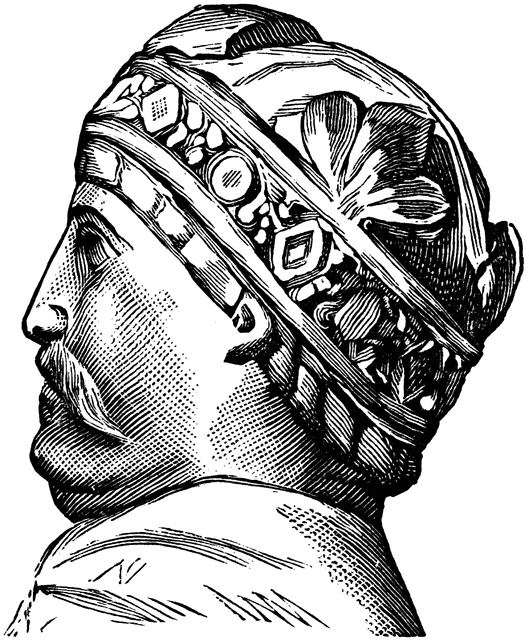 Profile of Charlemagne 