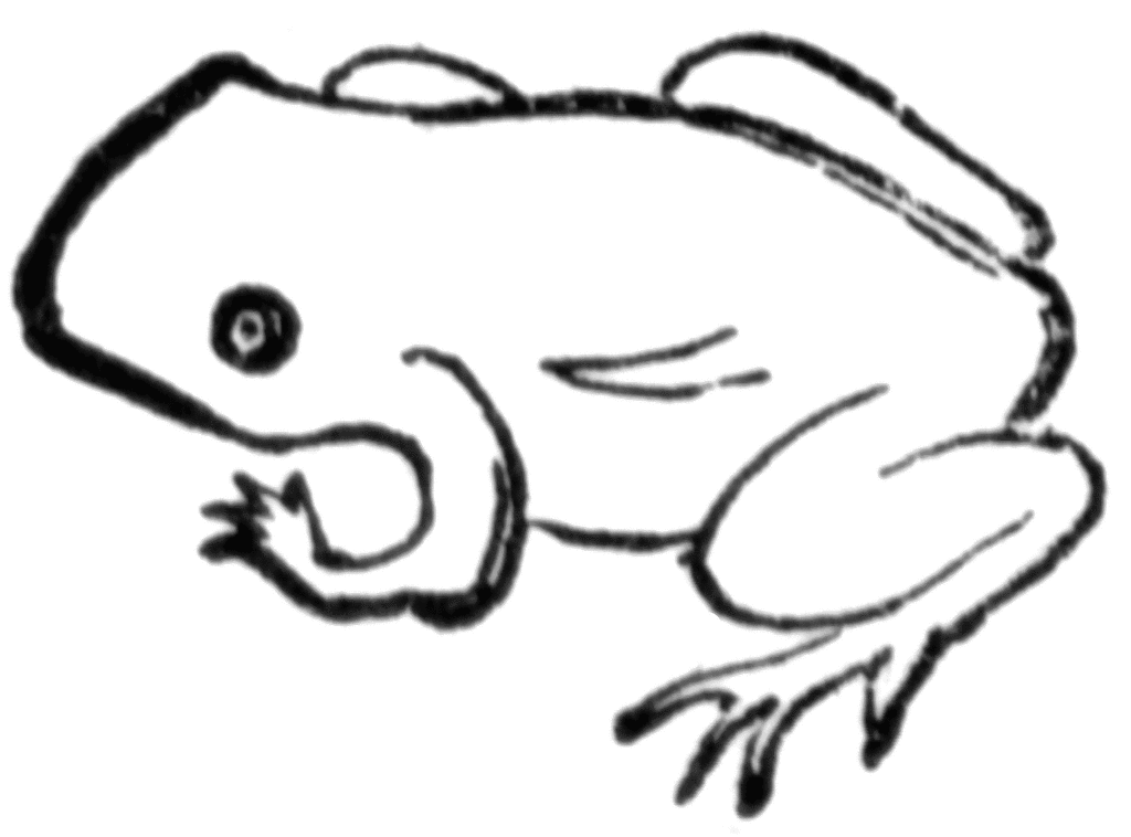 Clip Art Toad