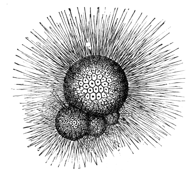 stochastic integrals an introduction