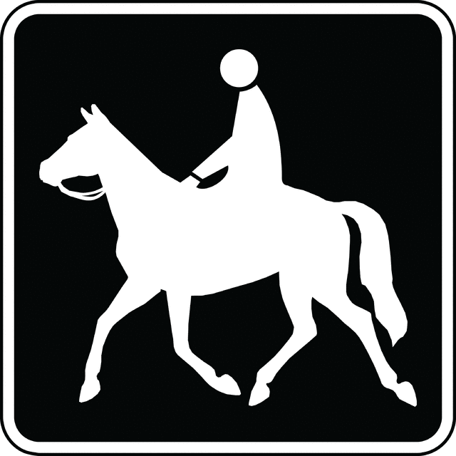 Horse Trail, Black and White