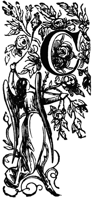 Decorative Letter C with Angel Holding Vine