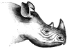 Ungulate Head