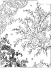 Manufacture of Figured Fabrics