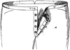 Fastening Device