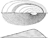 Shoreline Contour Map Method of Execution