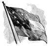 Confederate Flag