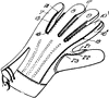 Working Glove