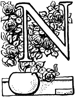 Decorative Letter N