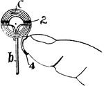 a conductor, as a copper wire, wound up in a spiral or other form.