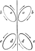 Ellipses of Swimming Frog