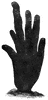 Neptune�s Glove