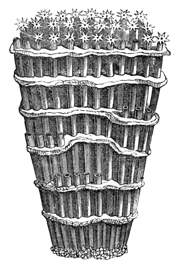 organ pipes clipart - photo #16