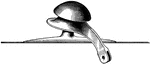A single-curve suspension. This type of suspension is generally used for trolleys that are on a street with many curves. The suspension helps to lessen the tension of the trolley wire.