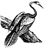 Bird clipart, a-b
