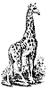Mammal clipart, f-h