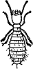 Insect Clipart, s-z