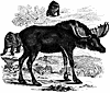 Mammal clipart, m-n