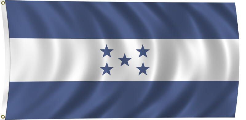 Color flag of Federated States