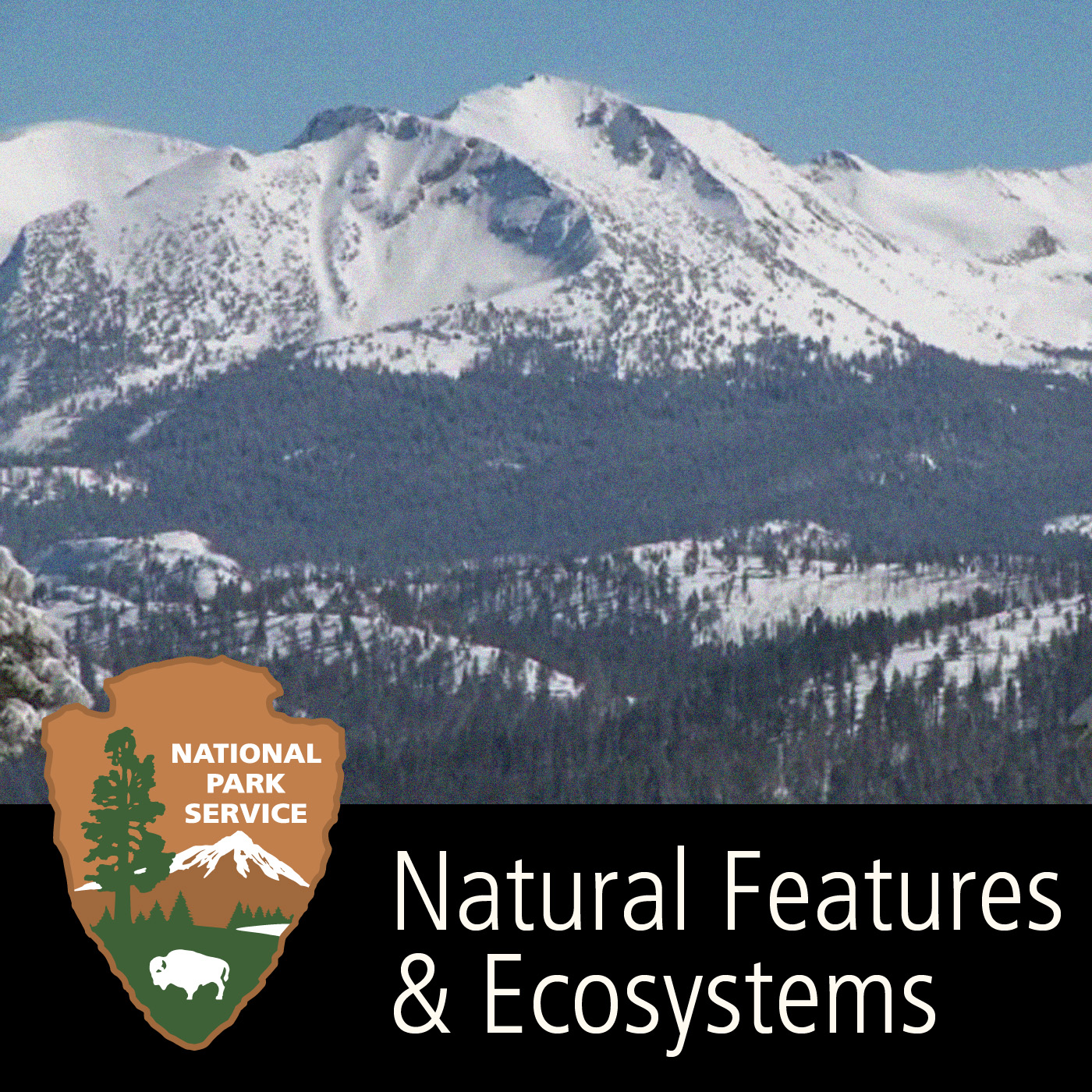 Natural Features & Ecosystems