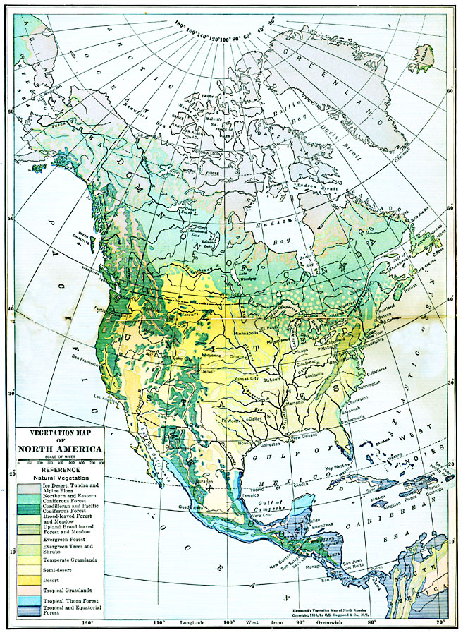 Vegetation of North America