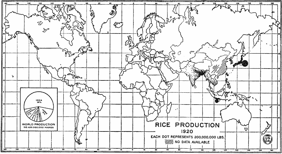 World Rice Production