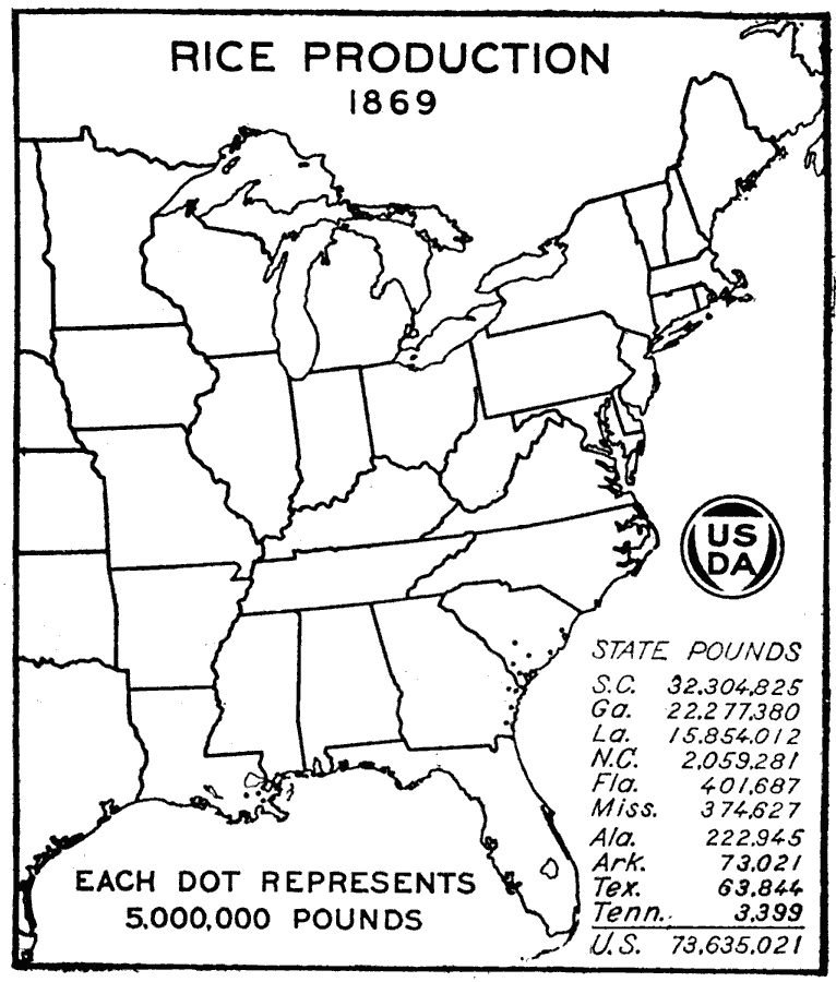 Rice Production in the United States