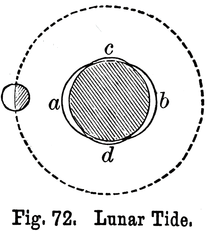 Theory of Lunar Tides