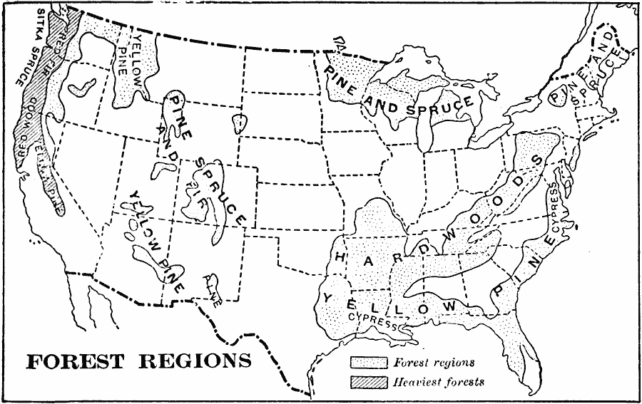 The United States - Forest Regions