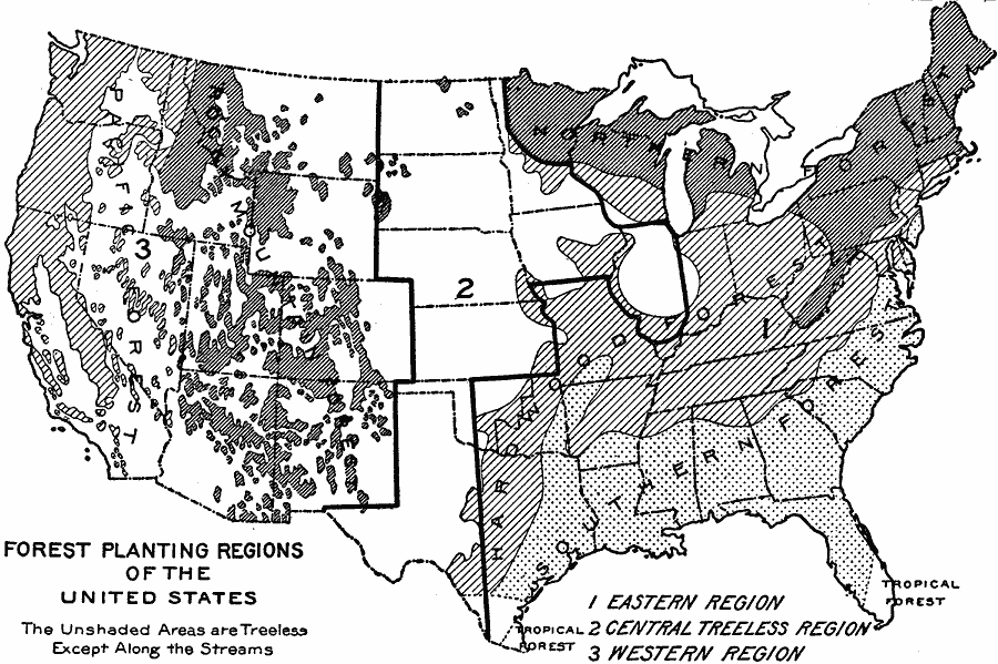 Forest Planting Regions in the United States