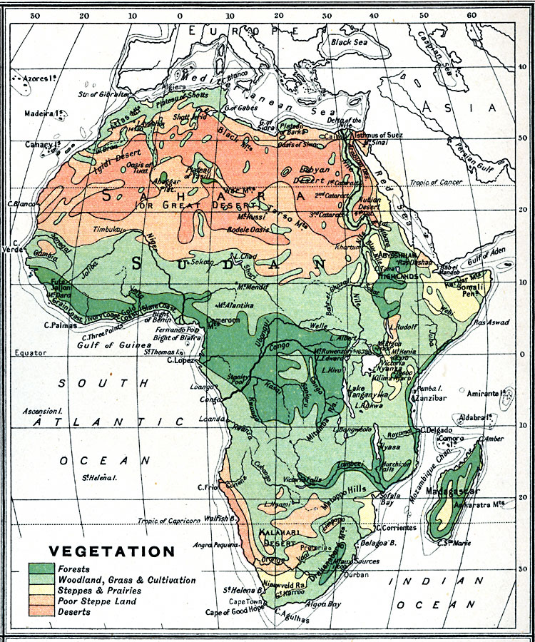 Vegetation Map of Africa
