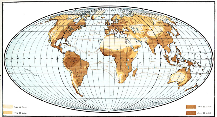 World Projection Map
