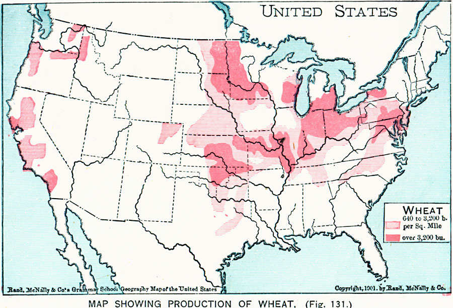 Production of Wheat in the United States