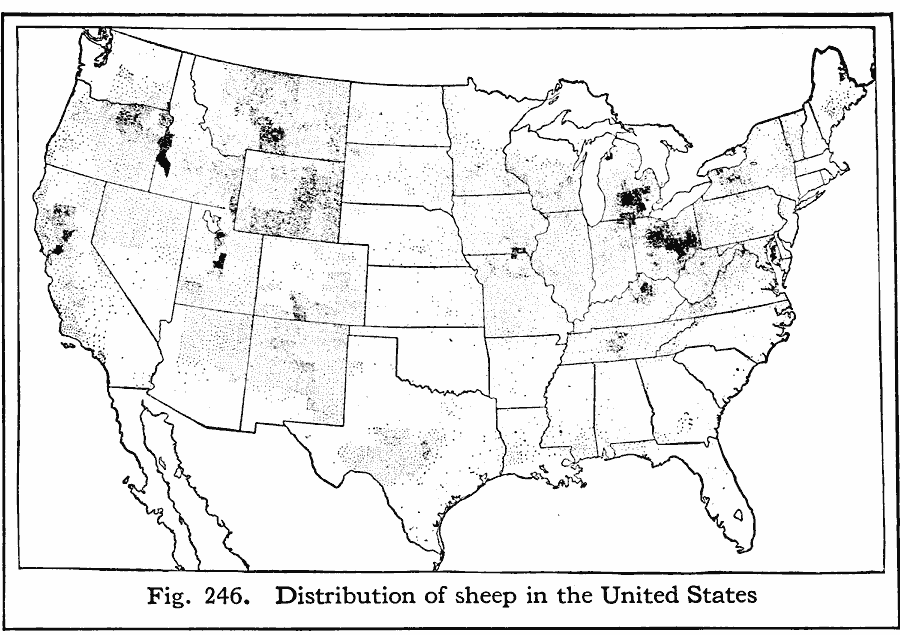 Distribution of Sheep