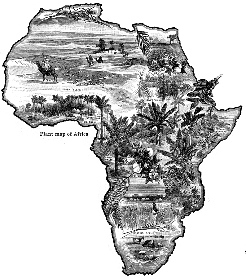 Plants of  Africa