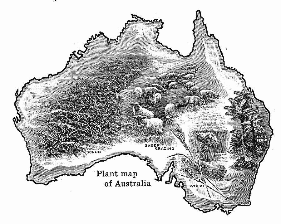 Plants of Australia
