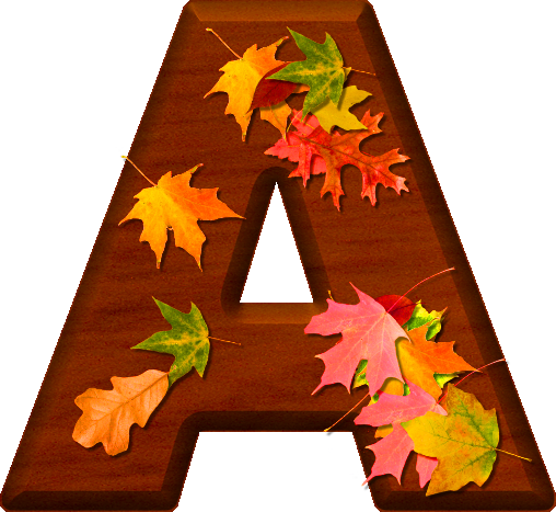 presentation-alphabets-cherry-wood-leaves-letter-a