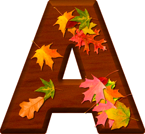 Presentation Alphabets Cherry Wood Leaves Letter A