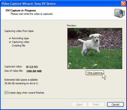Video Capture Wizard: DV Capture in Progress