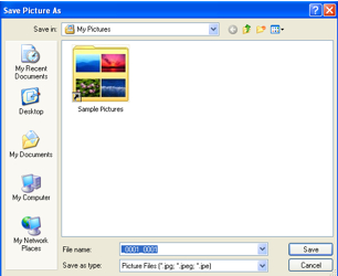 Save Picture As window