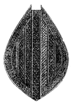 Detail of carved pattern on Moari paddle.