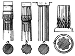 Egyptian columns had shafts of three types: a) circular or cylindrical, b) clustered, c) polygonal or proto-doric. The first two tapered upward and sometimes had a slight swelling at the base (d).