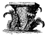 A basket with acanthus leaves growing around it&mdash;the supposed inspiration for the Corinthian capital.